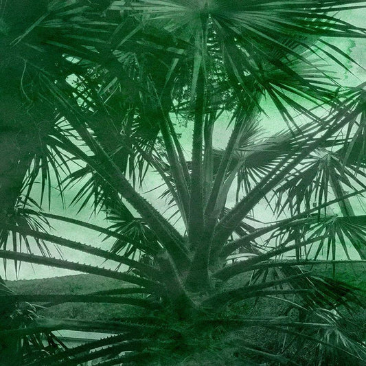 Image Only