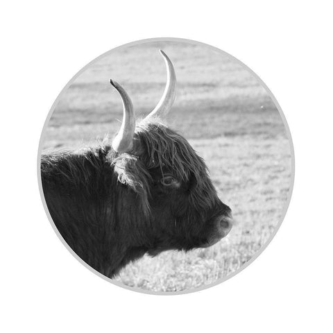 Calf Black Modern Wood Framed Art Print by Phillip, Jamie