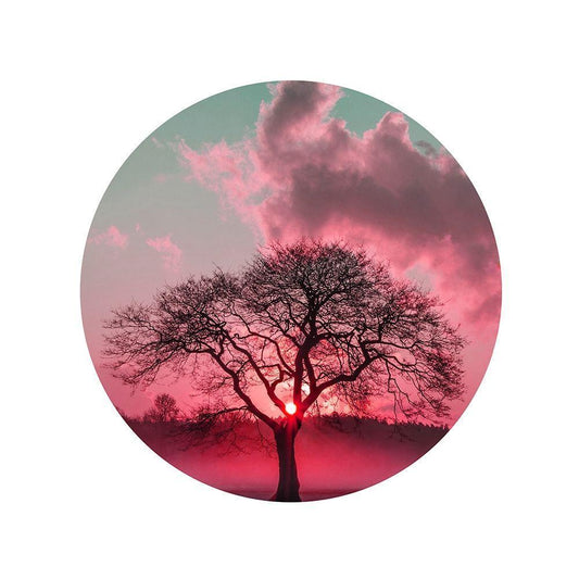 Image Only