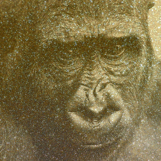 Image Only