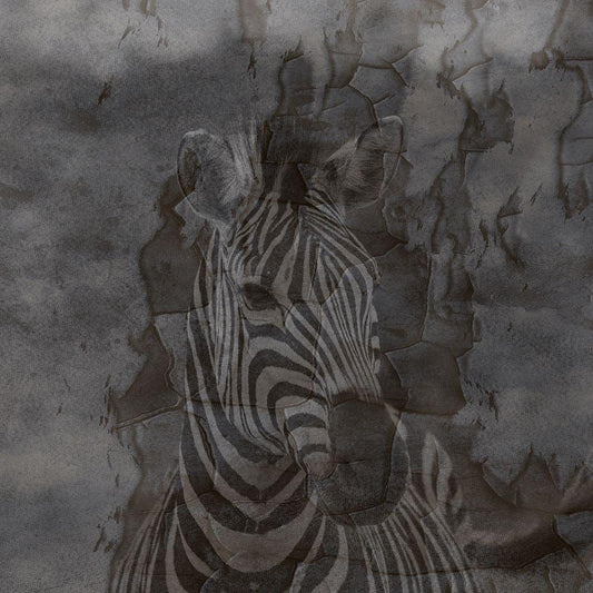 Image Only