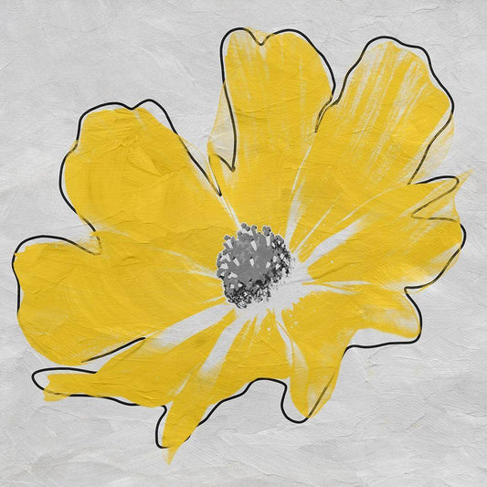 Image Only