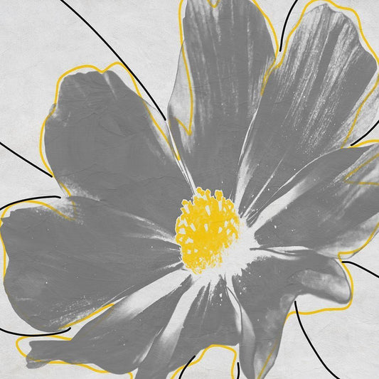 Image Only