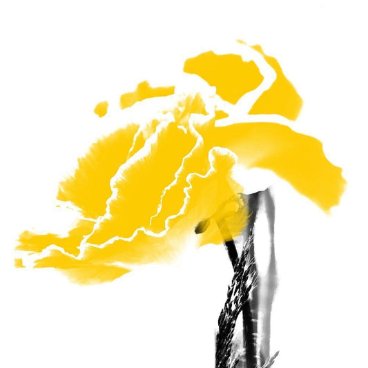 Image Only