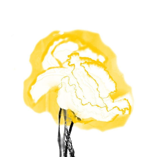 Image Only