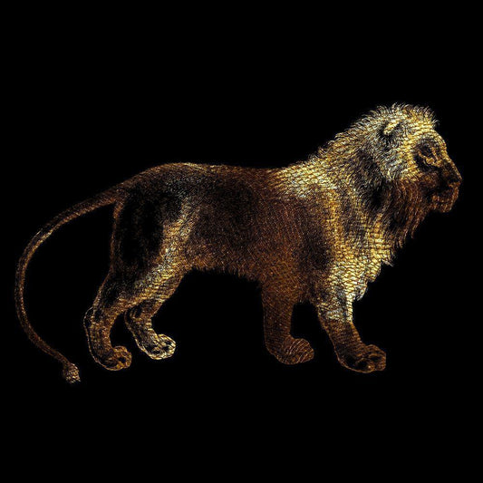 Image Only