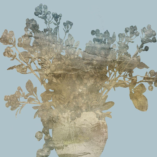 Image Only