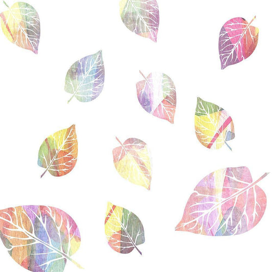 Image Only