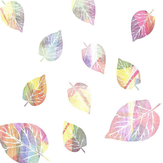 Image Only