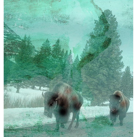Migration White Modern Wood Framed Art Print by Phillip, Jamie