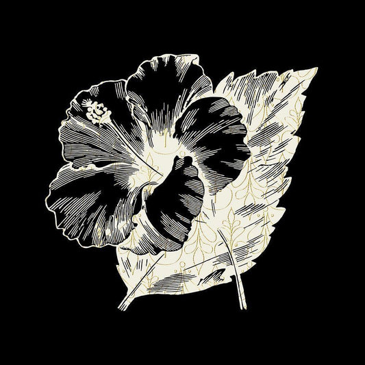 Image Only