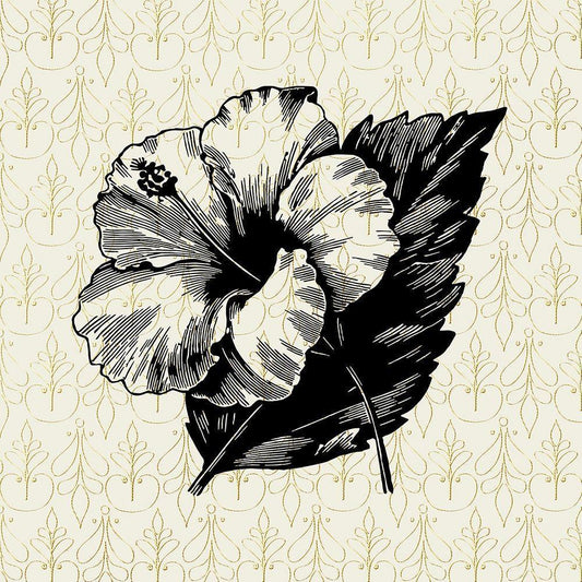 Image Only