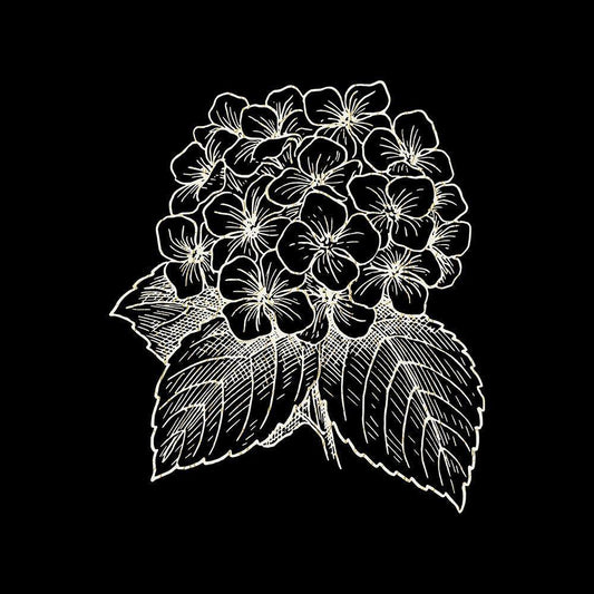Image Only