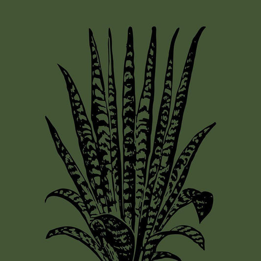Image Only
