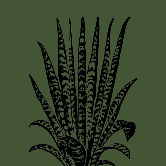 Image Only