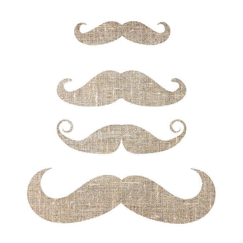 Brostache White Modern Wood Framed Art Print by Phillip, Jamie