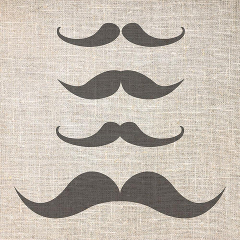 Brostache 2 White Modern Wood Framed Art Print with Double Matting by Phillip, Jamie