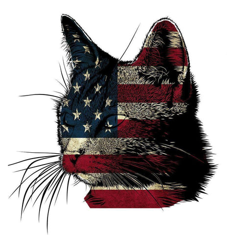 American Cat 2 Black Modern Wood Framed Art Print with Double Matting by Phillip, Jamie