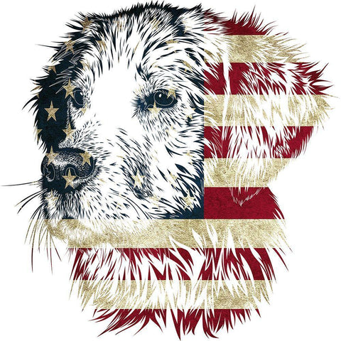 American Dog White Modern Wood Framed Art Print with Double Matting by Phillip, Jamie