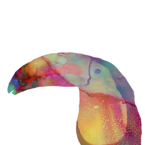 Toucan Boy White Modern Wood Framed Art Print by Phillip, Jamie