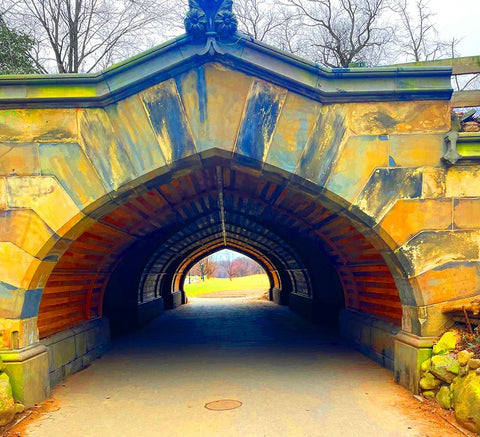 Prospect Tunnel Black Ornate Wood Framed Art Print with Double Matting by Phillip, Jamie