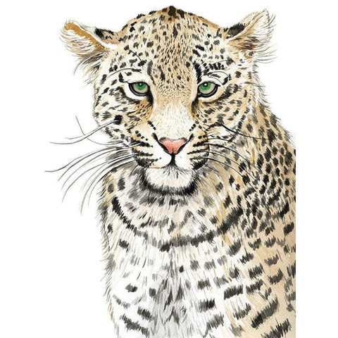 Leopard (Never Changes its Spots) Black Modern Wood Framed Art Print with Double Matting by Urban Road