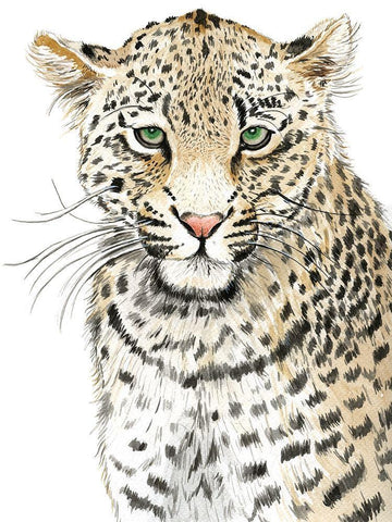 Leopard (Never Changes its Spots) White Modern Wood Framed Art Print with Double Matting by Urban Road