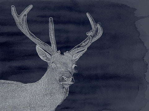 Indigo Deer Black Ornate Wood Framed Art Print with Double Matting by Urban Road