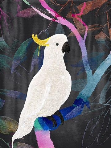 Rainbow Cockatoo White Modern Wood Framed Art Print with Double Matting by Urban Road