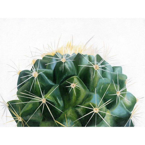 Cacti Black Modern Wood Framed Art Print with Double Matting by Urban Road