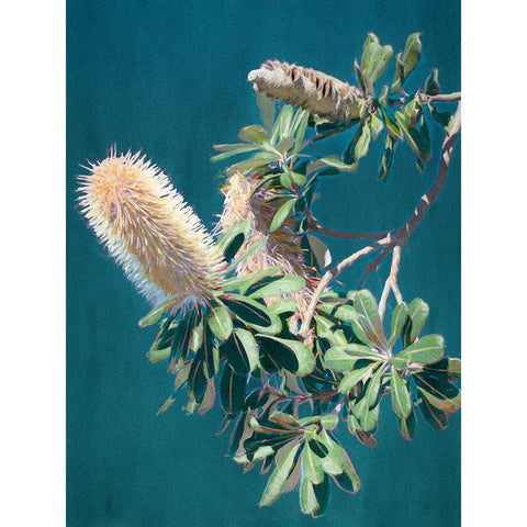 Twilight Banksia Art Print Black Modern Wood Framed Art Print with Double Matting by Urban Road