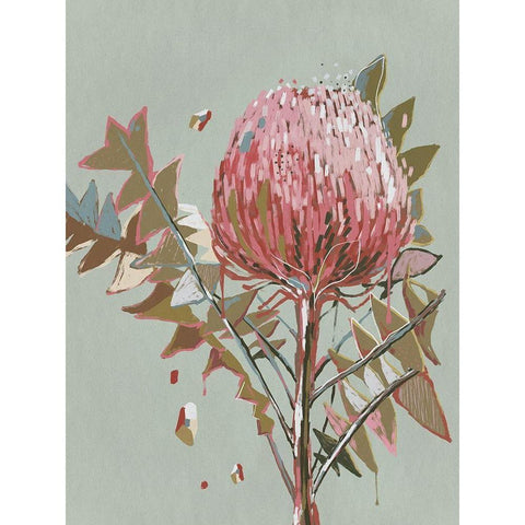 Sage Waratah Gold Ornate Wood Framed Art Print with Double Matting by Urban Road