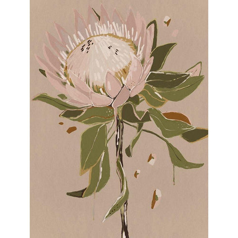 Neutral Protea Black Modern Wood Framed Art Print with Double Matting by Urban Road