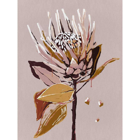 Blush Protea Gold Ornate Wood Framed Art Print with Double Matting by Urban Road