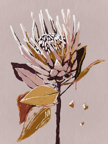 Blush Protea White Modern Wood Framed Art Print with Double Matting by Urban Road