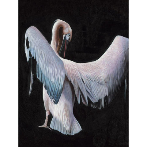 Pelican Black Modern Wood Framed Art Print by Urban Road