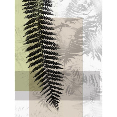 Plantation III Black Modern Wood Framed Art Print with Double Matting by Urban Road