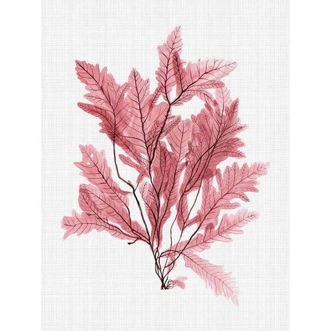 Aruba Blush Poster White Modern Wood Framed Art Print by Urban Road