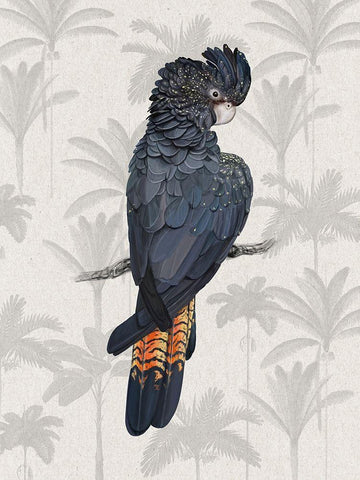 Tropical Cockatoo Poster Black Ornate Wood Framed Art Print with Double Matting by Urban Road