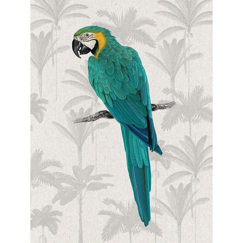 Tropical Macaw Poster Black Modern Wood Framed Art Print with Double Matting by Urban Road