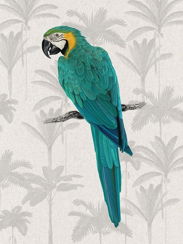 Tropical Macaw Poster White Modern Wood Framed Art Print with Double Matting by Urban Road