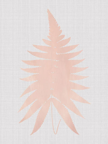 Fern Blush Poster White Modern Wood Framed Art Print with Double Matting by Urban Road