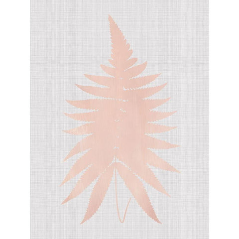 Fern Blush Poster Black Modern Wood Framed Art Print by Urban Road