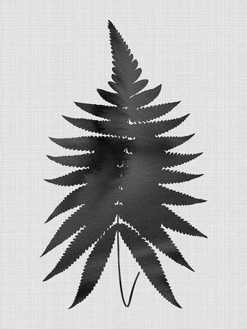 Fern Black Poster Black Ornate Wood Framed Art Print with Double Matting by Urban Road