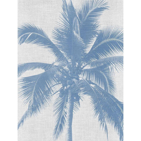 Denim Palms II Poster Black Modern Wood Framed Art Print with Double Matting by Urban Road