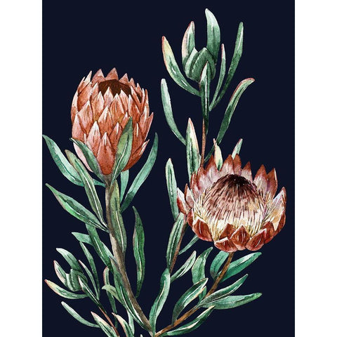 Dark Proteas I Poster Gold Ornate Wood Framed Art Print with Double Matting by Urban Road