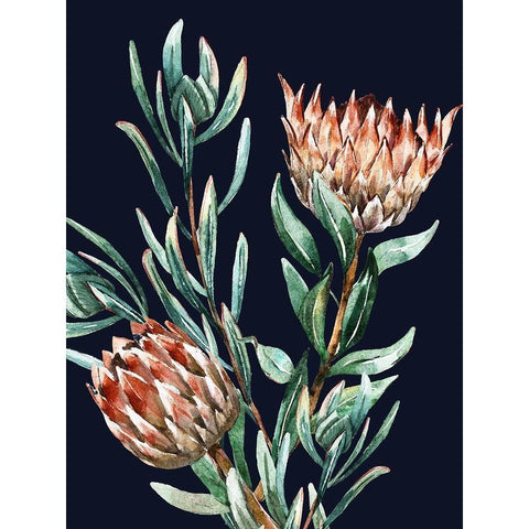Dark Proteas II Poster Gold Ornate Wood Framed Art Print with Double Matting by Urban Road