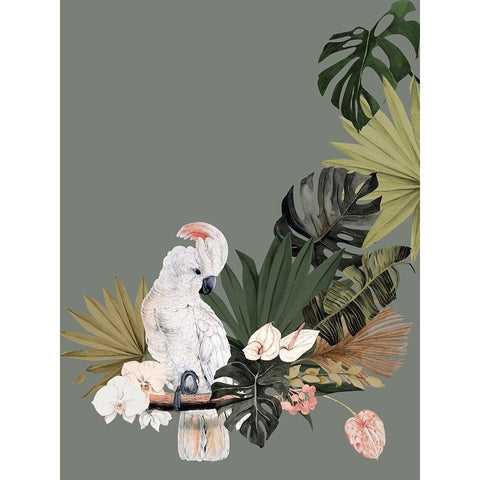 Cockatoo Fanfare Poster Black Modern Wood Framed Art Print with Double Matting by Urban Road