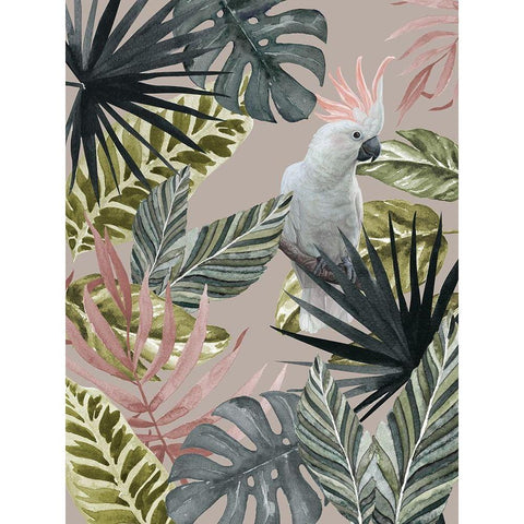 Tropical Cockatoo Poster Gold Ornate Wood Framed Art Print with Double Matting by Urban Road