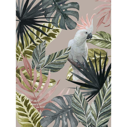 Tropical Cockatoo Poster White Modern Wood Framed Art Print by Urban Road